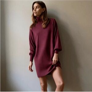 Aritzia Wilfred Turtleneck Merino Wool Long Sleeve Sweater Dress Size Small